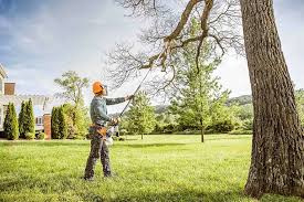 Best Weed Control  in George West, TX